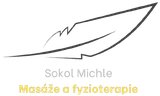 Sokol Michle